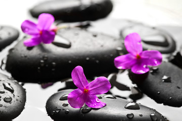 Obraz na płótnie Canvas Grey wet pebbles with flowers