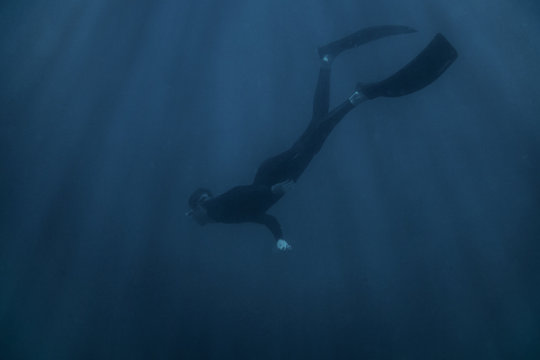 Man freediver wearing in wetsuit swimming underwater.