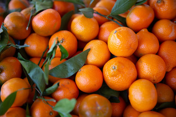 Fresh Oranges and Their Stems