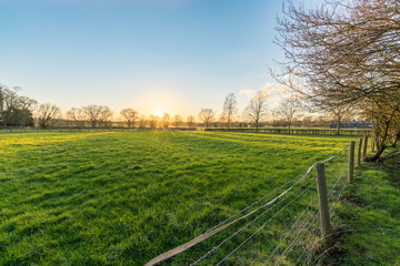 Field of grass with fence and trees viewed at beautiful sunset in Buckingham shire, England