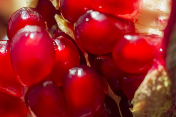 ripe red garnet