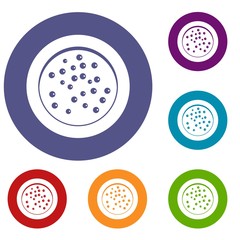 Peppercorns on a plate icons set in flat circle red, blue and green color for web