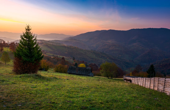 wooden fence on a grassy rural hillside at autumn dawn. horese, woodshed and spruce in the scene. gorgeous landscape in forested mountains with red foliage