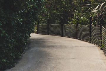 Empty sidewalk among jungle gardens with rope net.