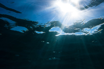 Sunbeams underwater near water surface.