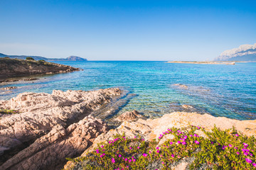C&ocirc;te fleurie en Sardaigne