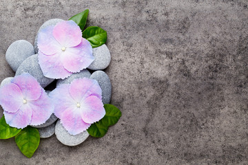 Naklejka na ściany i meble Spa flowers and massage stone, on grey background.