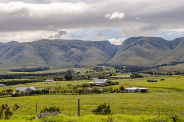 Obraz premium Countryside towards Hermanus landscape, travel Western Cape hills, South Afica