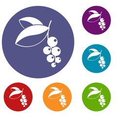 Currant berries icons set in flat circle red, blue and green color for web