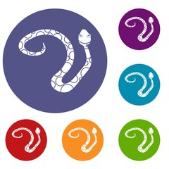 Naklejka premium Spotted snake icons set in flat circle red, blue and green color for web