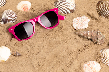 pink sunglasses with shellfish at a beach
