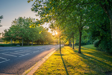 Empty road with morning sun flare 