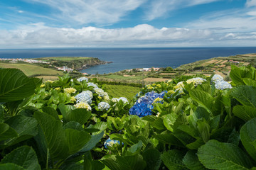 Cha Porto Formoso, Sao Miguel