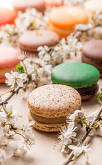 Macaroons fresh close up arrangement with spring blossoms lined up bright light front view in studio