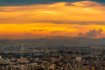 Fototapeta premium 新宿高層ビルから見る東京の夜景