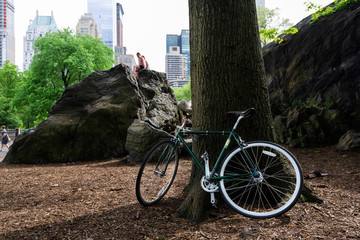Bicycle parked under a tree in Central Park, New York City © tapanuth