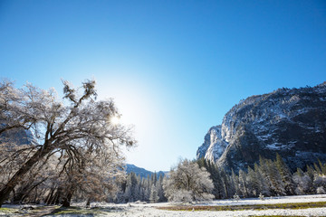 Early spring in Yosemite