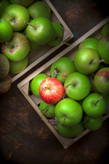 Green organic apples fresh overhead arrangement in wooden boxes on dark background close up in studio