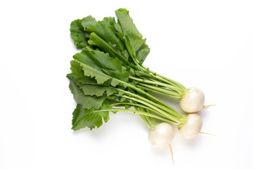 Fresh white round turnip radish on white background.
