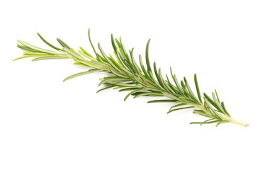 Rosemary spice on the white background.