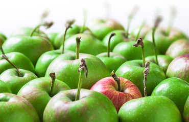 Green organic apples stacked close up front view arrangement on bright light selective focus in studio