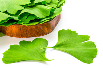 Medical leaves from a ginkgo biloba tree in a wooden bowl. Green leaves on a white background.