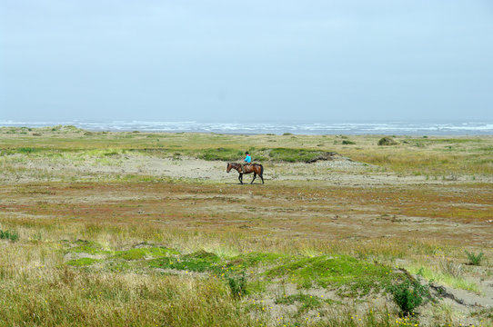 Cavalier sur l'&icirc;le de Chilo&eacute;