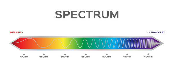 infographic of Visible spectrum color. sunlight color - obrazy, fototapety, plakaty
