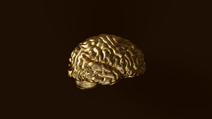 Black and Gold Human brain Anatomical Model 3d illustration	