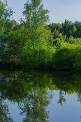 countryside landscape. Pond  in the forest. Trees on the shore reflected in the water