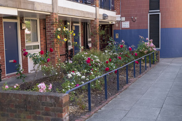 Bermondsey council housing estate Leathermarket JMB block of flats London