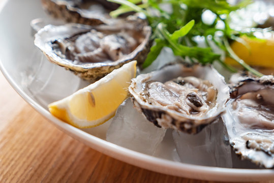 oyster on the ice