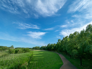 びん沼の葦原と空