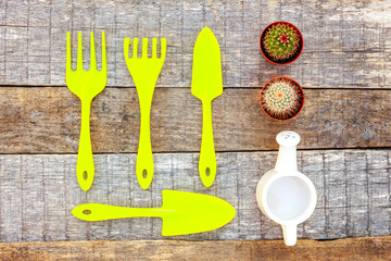 Flat Lay with gardening tools, shovel, spade, rake, watering can, cactus on rustic wooden background. Spring or summer in garden, eco, nature, farm, horticulture hobby concept