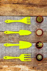 Flat Lay with gardening tools, shovel, spade, rake, cactus on rustic wooden background. Spring or summer in garden, eco, nature, farm, horticulture hobby concept