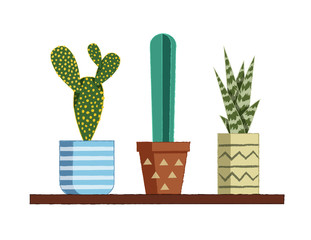 Vector colorful illustration of flat drawn cactus with a pot. Set of house plants