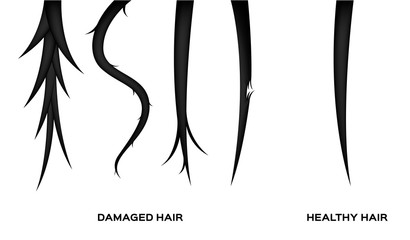 Fototapeta premium damaged hair and normal hair