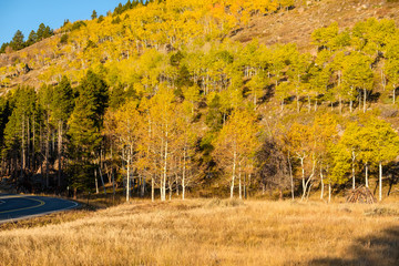 Highway at autumn in Colorado, USA.