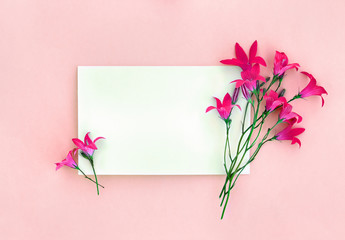 Beautiful unusual flowers red pink bellflowers and blank sheet with space for text on a pink paper background. Top view, flat lay