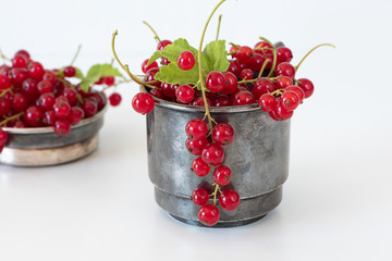 rote Johannisbeeren (Ribisel)