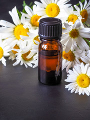 Chamomile oil bottle with flowers on black  background

