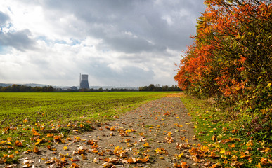 Autumn windy day in Germany, cloudy sky yellow leaves falling from trees standing near a dirt road...