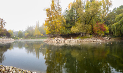 Fototapeta na wymiar Autumn, misty morning in the park, a pond around which the trees grow. Stony shore.