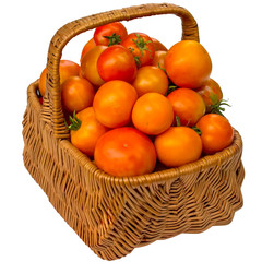 Autumn basket with tomatoes isolated on a white background.