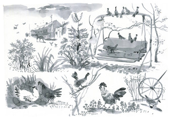 Obraz premium watercolor sketches, chickens, garden