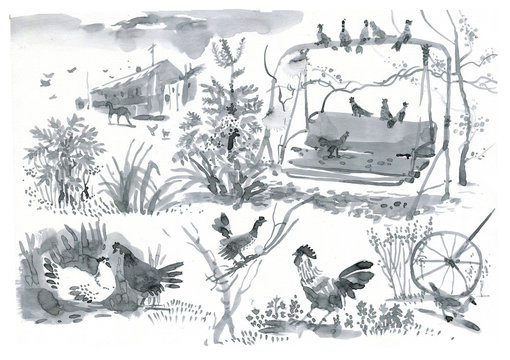 watercolor sketches, chickens, garden