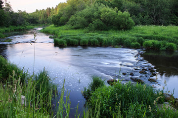 Fast forest River. Fog. Evening summer landscape
