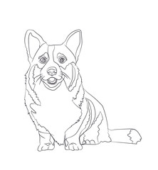 dog sitting, lines, vector