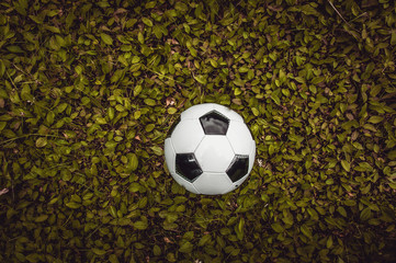 classic soccer ball on green grass