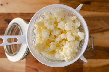 Organic probiotic Milk Kefir grains
